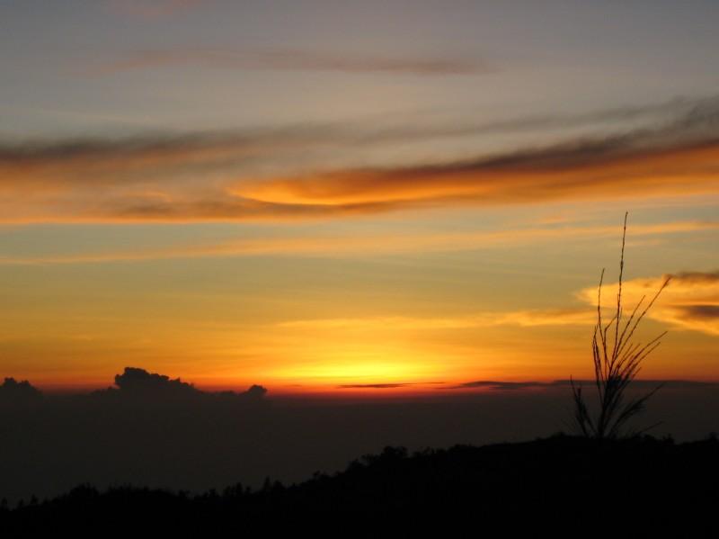 2007 07 15 BALI 0012.jpg